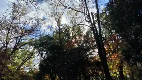 賀茂御祖神社（下鴨神社）(京都府)