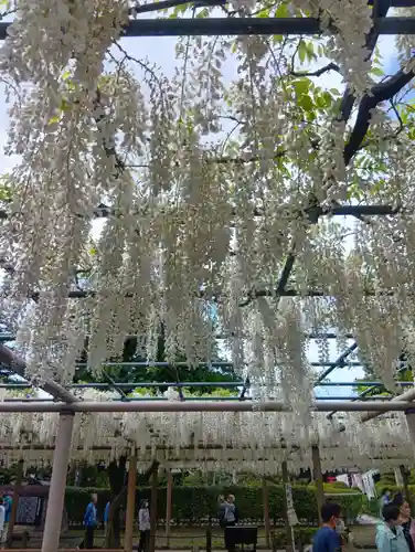 曼陀羅寺(愛知県)
