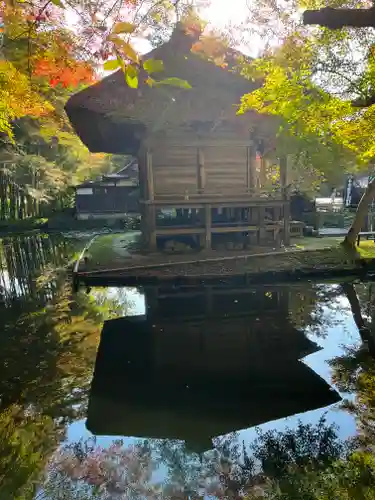 中尊寺の庭園