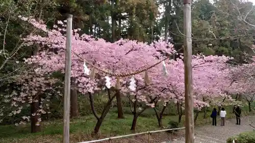 矢奈比賣神社（見付天神）(静岡県)