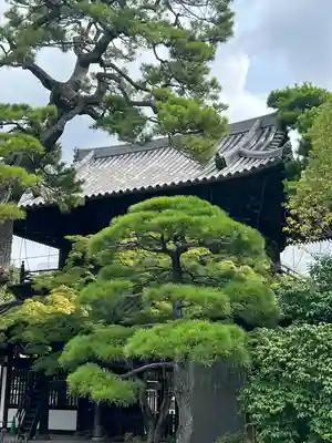 泉岳寺(東京都)