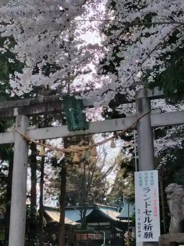 駒形神社の{uncategorized: "未分類", other: "その他", undefined: "問題あり", building: "その他建物", grave: "お墓", sacred_gate: "鳥居", guardian: "狛犬", statue: "像", buddha: "仏像", history: "歴史", nature: "自然", garden: "庭園", animal: "動物", pagoda: "塔", temizu: "手水舎", mountain_gate: "山門・神門", sanctuary: "本殿・本堂", subordinate: "末社・摂社", art: "芸術", scenery: "景色", jizo: "地蔵", ema: "絵馬", goshuin: "御朱印", omikuji: "おみくじ", items: "授与品その他", amulet: "お守り", goshuincho: "御朱印帳", eats: "食事", festival: "お祭り", votive_dance: "神楽", shichigosan: "七五三参", wedding: "結婚式", experience: "体験その他", initially: "初詣", around: "周辺", anti_infection: "感染症対策"}