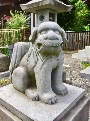 阿豆佐味天神社 立川水天宮の狛犬