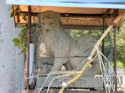 大崎神社の狛犬