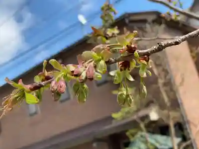 下神明天祖神社(東京都)