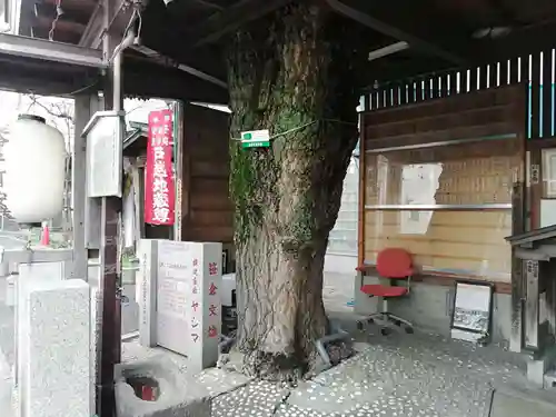 戸越地蔵尊の自然