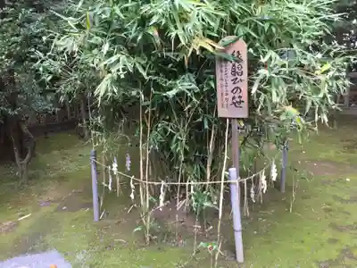 吉田神社の自然