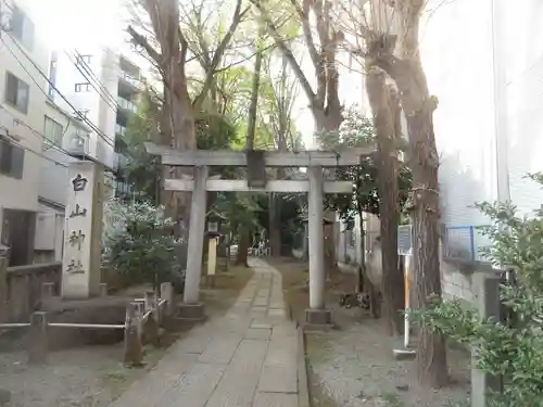 白山神社の鳥居