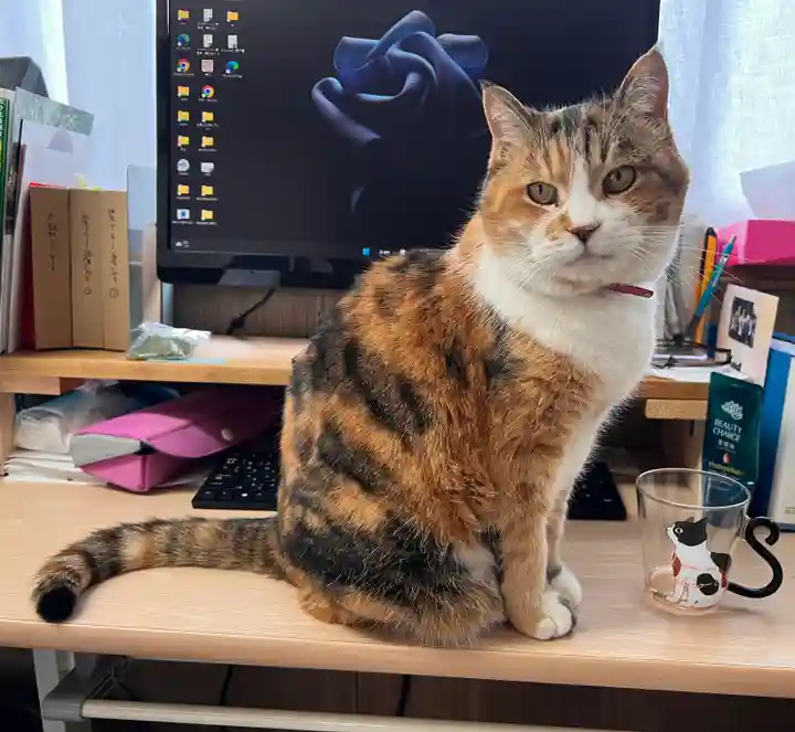 秩父札所十三番 慈眼寺(埼玉県)