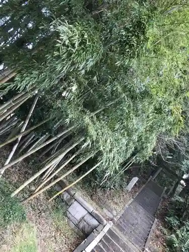 諏訪神社の自然