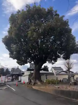 真言宗 善通寺派 薬王寺(香川県)