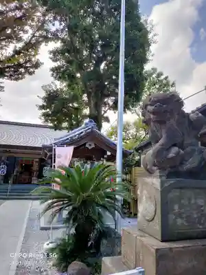蛇窪神社の狛犬