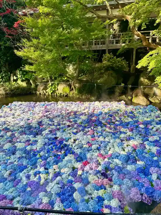 楽法寺(雨引観音)(茨城県)