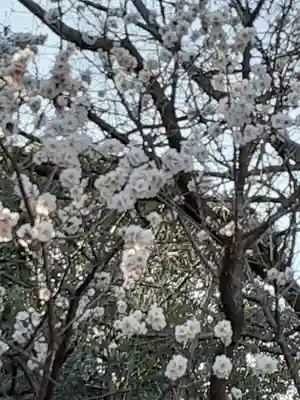 阿佐ヶ谷神明宮(東京都)