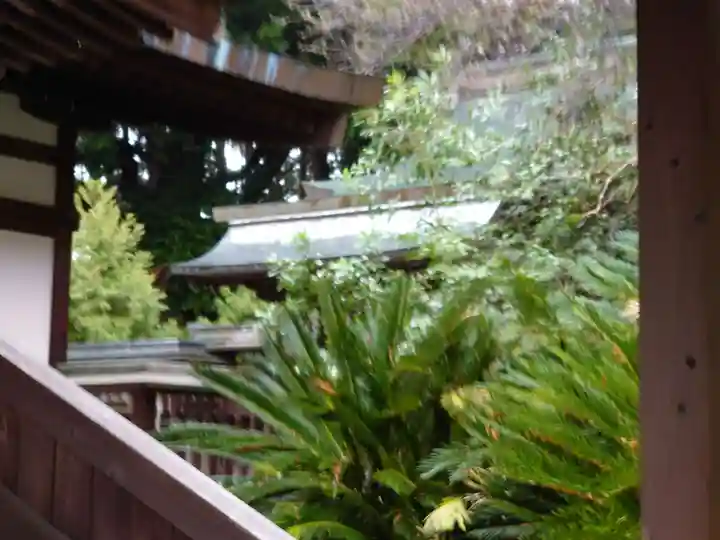 龍尾神社(静岡県)