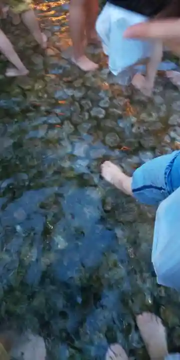 賀茂御祖神社(下鴨神社)(京都府)