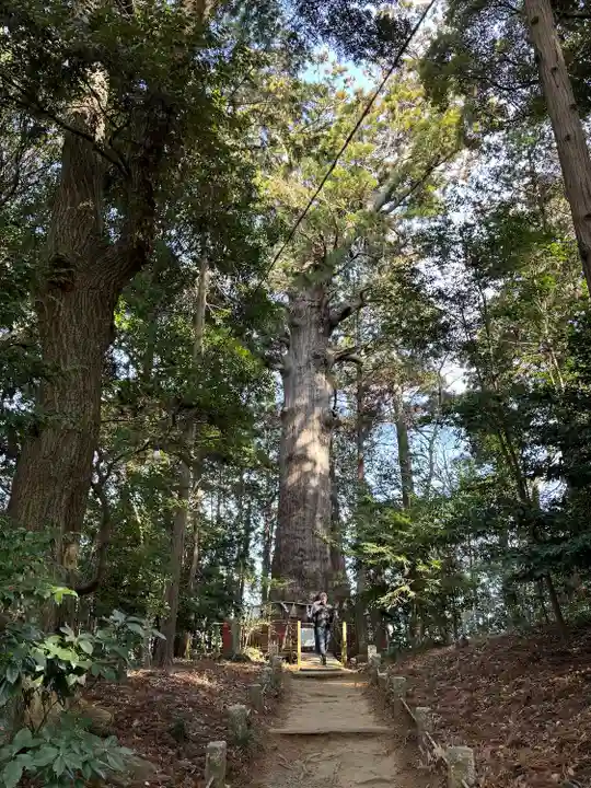 麻賀多神社(千葉県)