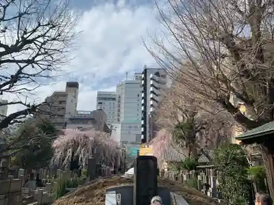 善性寺(東京都)