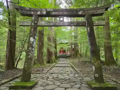 瀧尾神社（日光二荒山神社別宮）(栃木県)