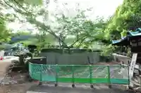 太山寺(愛媛県)