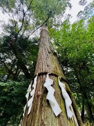 石上神宮(奈良県)