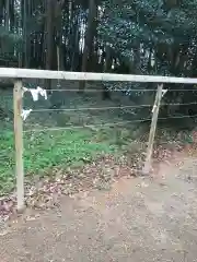 阿太加夜神社のおみくじ