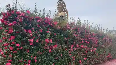 常福寺(愛知県)