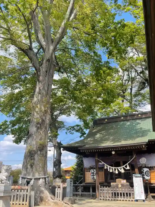 守谷総鎮守 八坂神社の本殿・本堂