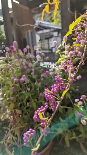 證安院(京都府)