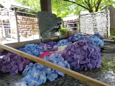 足羽神社(福井県)