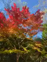 明王院(和歌山県)