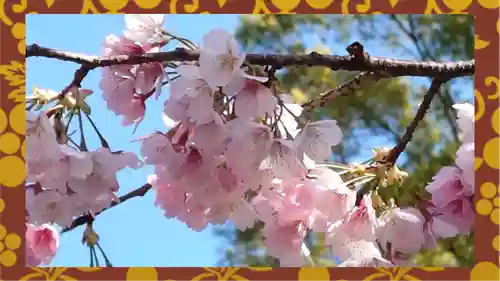 清水観音堂(東京都)
