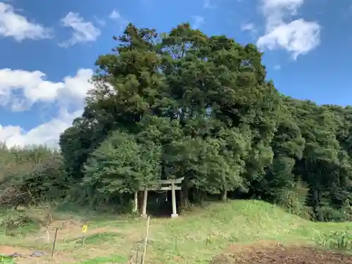 八坂神社の鳥居