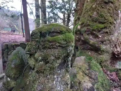 白石神社（若狭彦神社境外末社）の{uncategorized: "未分類", other: "その他", undefined: "問題あり", building: "その他建物", grave: "お墓", sacred_gate: "鳥居", guardian: "狛犬", statue: "像", buddha: "仏像", history: "歴史", nature: "自然", garden: "庭園", animal: "動物", pagoda: "塔", temizu: "手水舎", mountain_gate: "山門・神門", sanctuary: "本殿・本堂", subordinate: "末社・摂社", art: "芸術", scenery: "景色", jizo: "地蔵", ema: "絵馬", goshuin: "御朱印", omikuji: "おみくじ", items: "授与品その他", amulet: "お守り", goshuincho: "御朱印帳", eats: "食事", festival: "お祭り", votive_dance: "神楽", shichigosan: "七五三参", wedding: "結婚式", experience: "体験その他", initially: "初詣", around: "周辺", anti_infection: "感染症対策"}