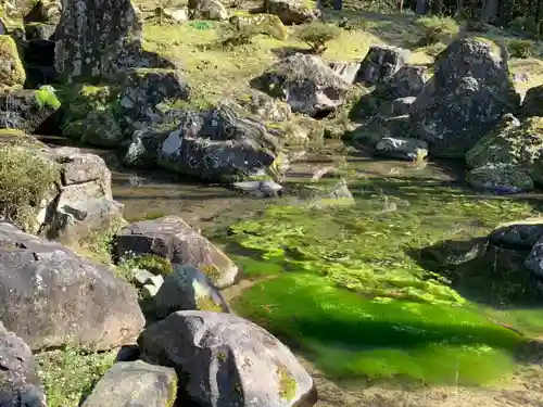 朝倉神社の庭園