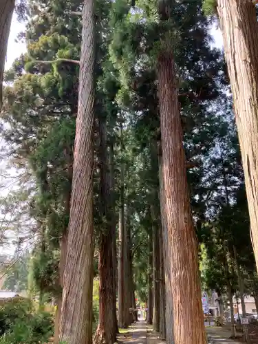 唐松神社(秋田県)