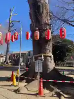 東八幡神社(埼玉県)