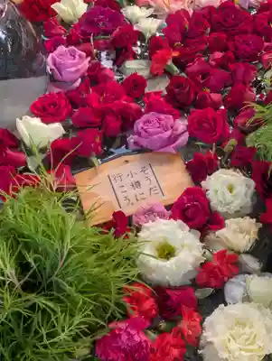 住吉神社(北海道)