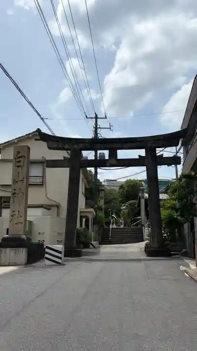 白山神社(東京都)