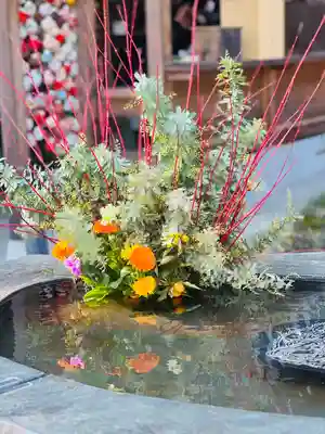 妙圓寺(神奈川県)