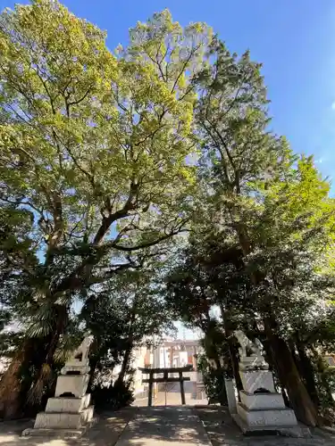 綿津見神社の鳥居