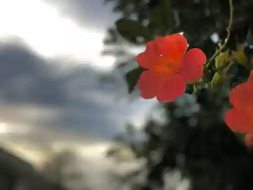 白鳥神社(長野県)