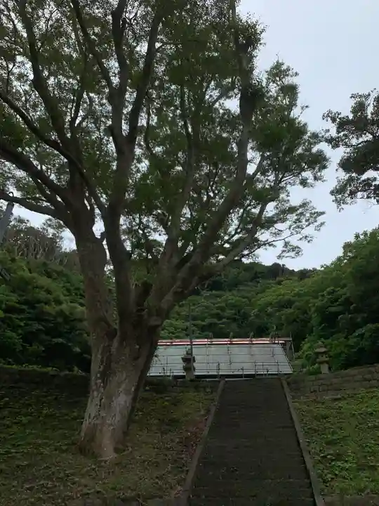 大宮神社のその他建物