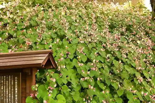 国宝 大法寺(長野県)