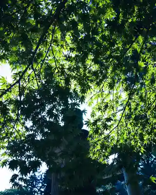 水戸八幡宮(茨城県)