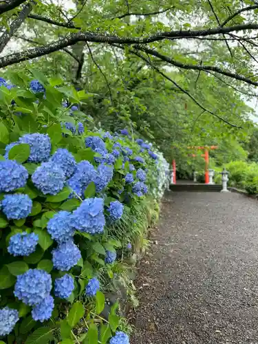 白和瀬神社(福島県)