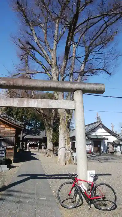 浅間神社の鳥居