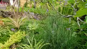 寿量山 速成寺の庭園(2019年07月21日(日) 09時43分03秒投稿)