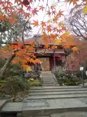 常寂光寺の山門