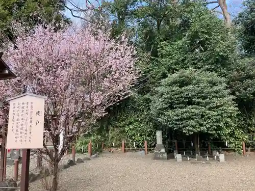 櫻木神社の自然
